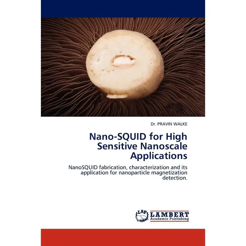 Nano-SQUID for High Sensitive Nanoscale Applications