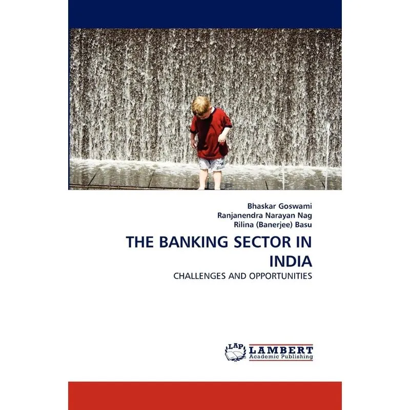 THE BANKING SECTOR IN INDIA