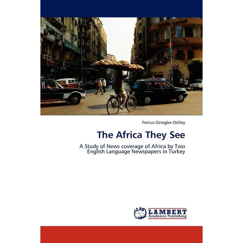 The Africa They See