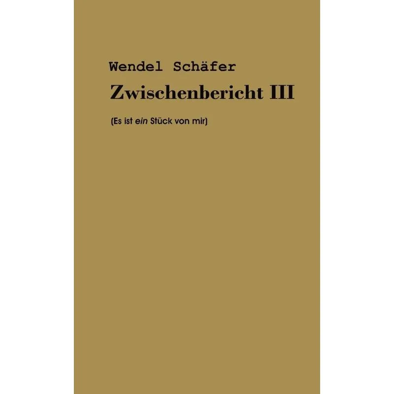 Zwischenbericht III