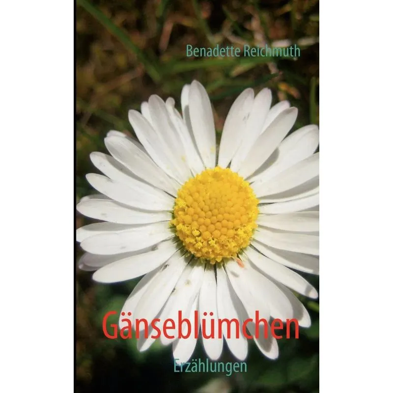 Gänseblümchen