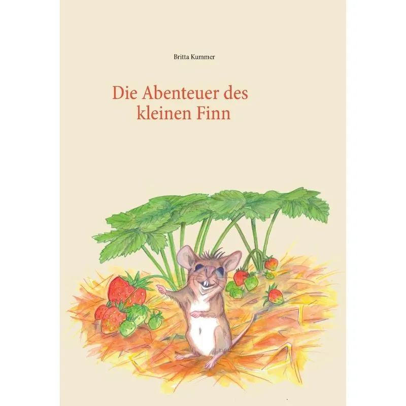 Die Abenteuer des kleinen Finn