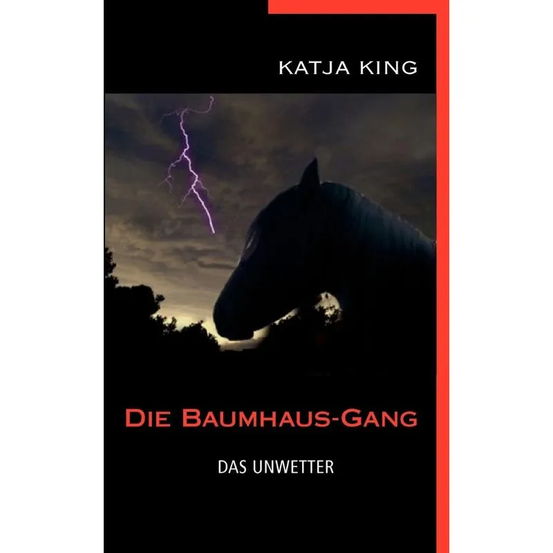 Die Baumhaus-Gang - Das Unwetter