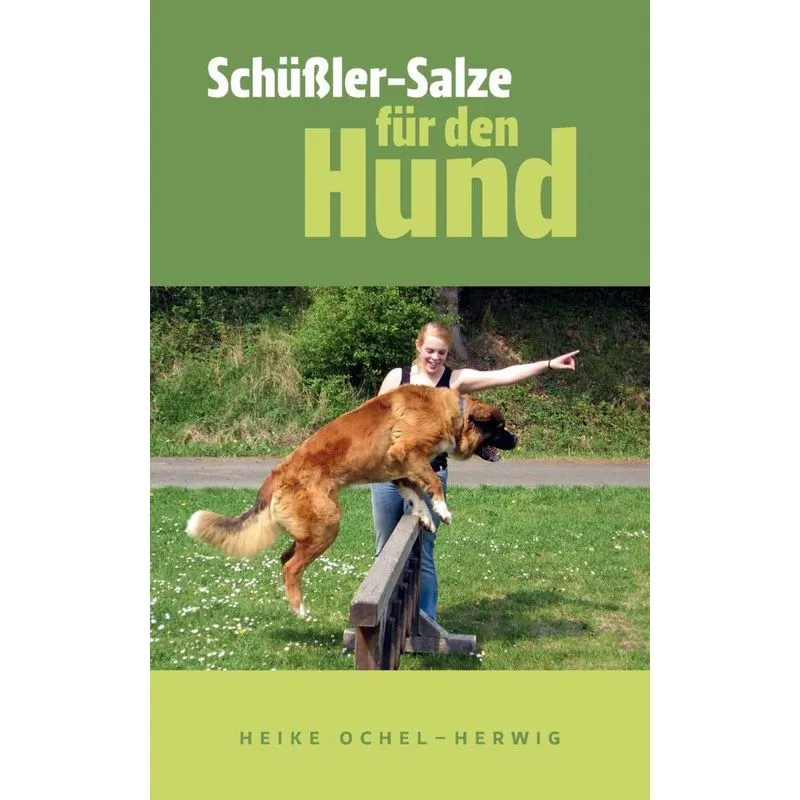 Schüßler-Salze für den Hund