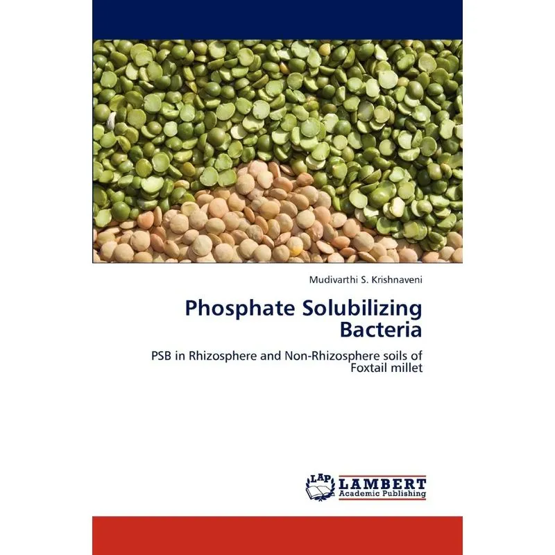 Phosphate Solubilizing Bacteria