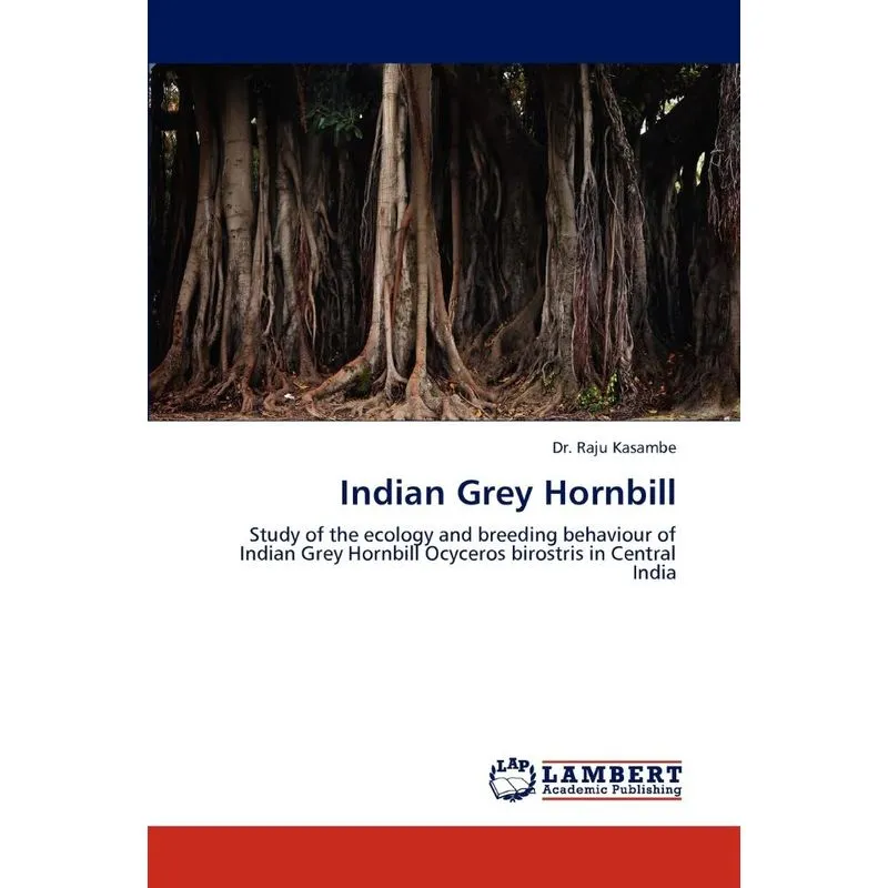 Indian Grey Hornbill