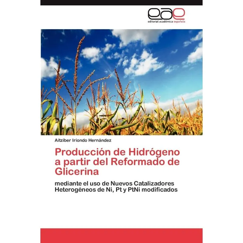 Producción de Hidrógeno a partir del Reformado de Glicerina
