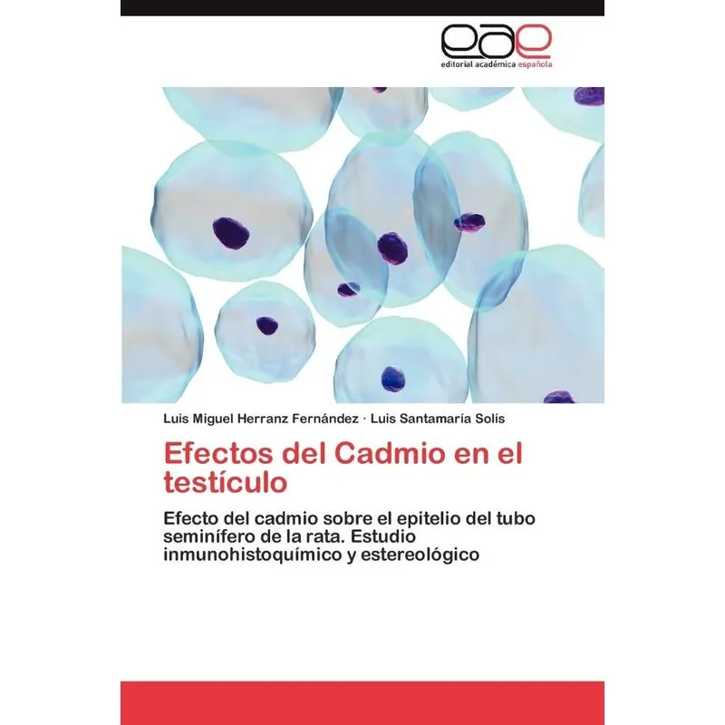 Efectos Del Cadmio En El Testículo