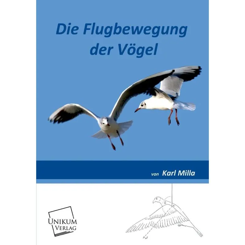 Die Flugbewegung Der Vogel