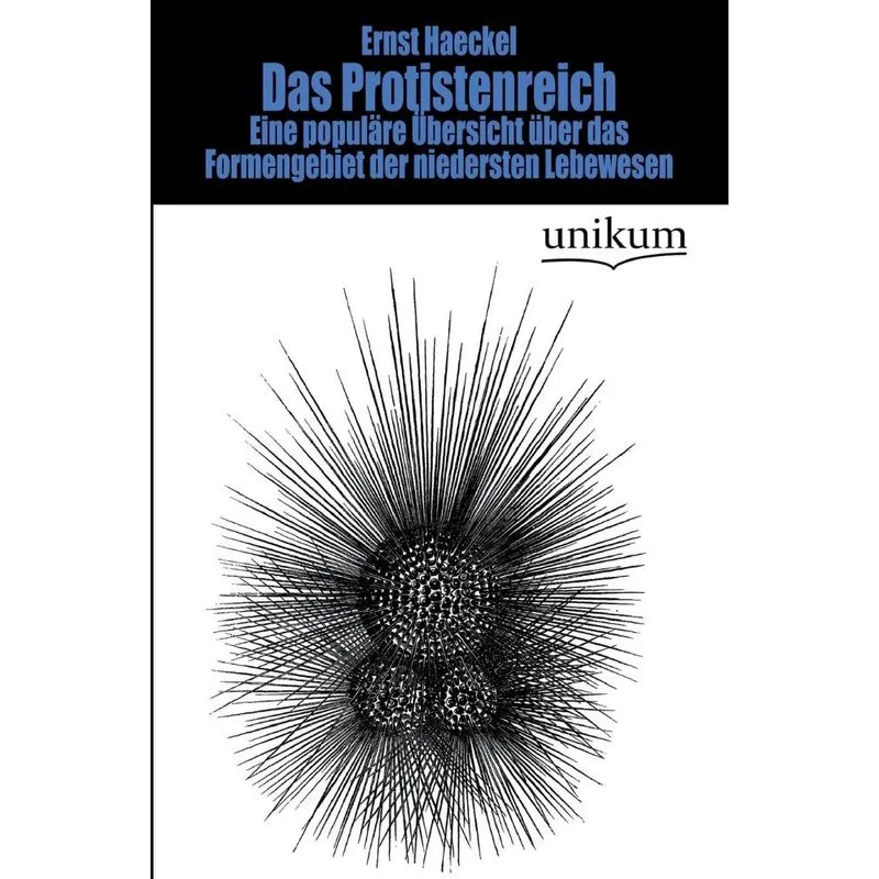 Das Protistenreich