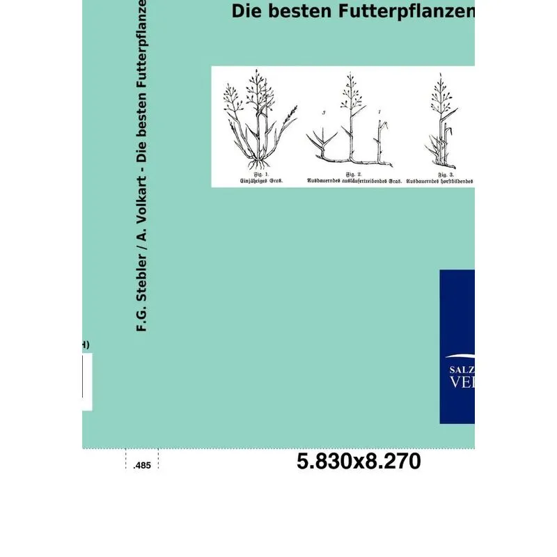Die Besten Futterpflanzen