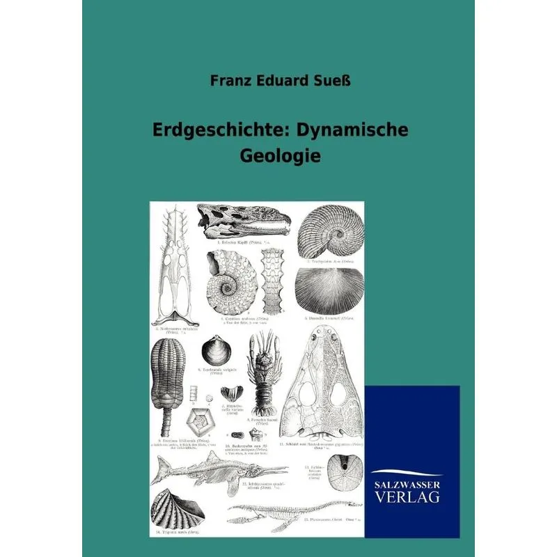 Erdgeschichte