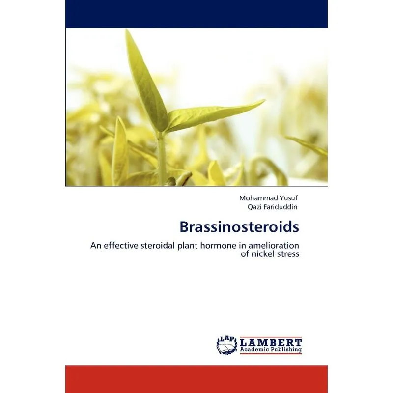 Brassinosteroids