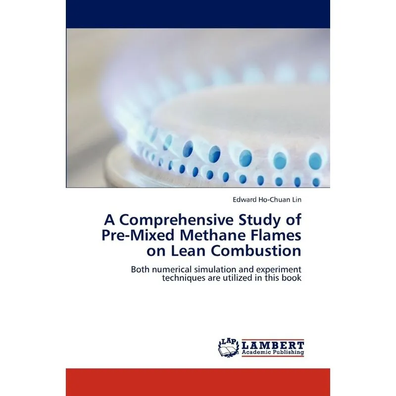 A Comprehensive Study of Pre-Mixed Methane Flames on Lean C