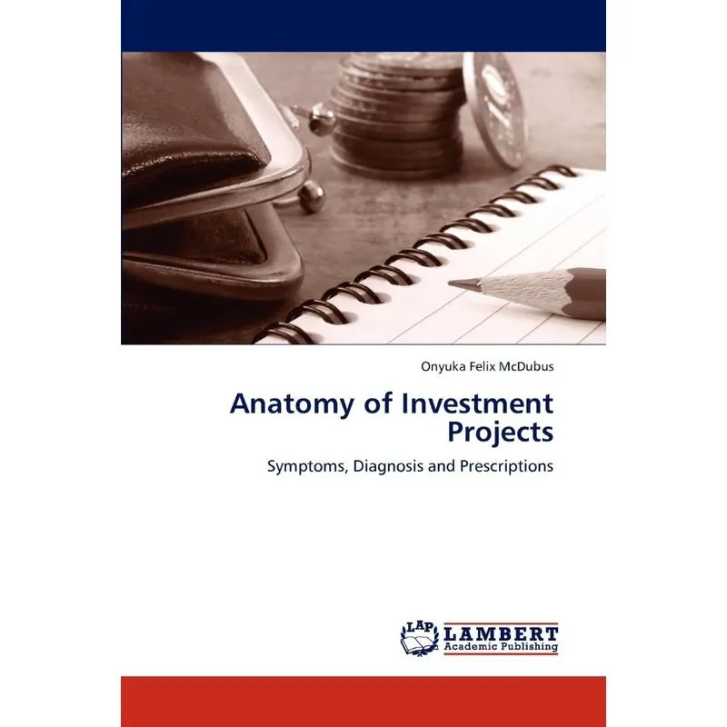 Anatomy of Investment Projects