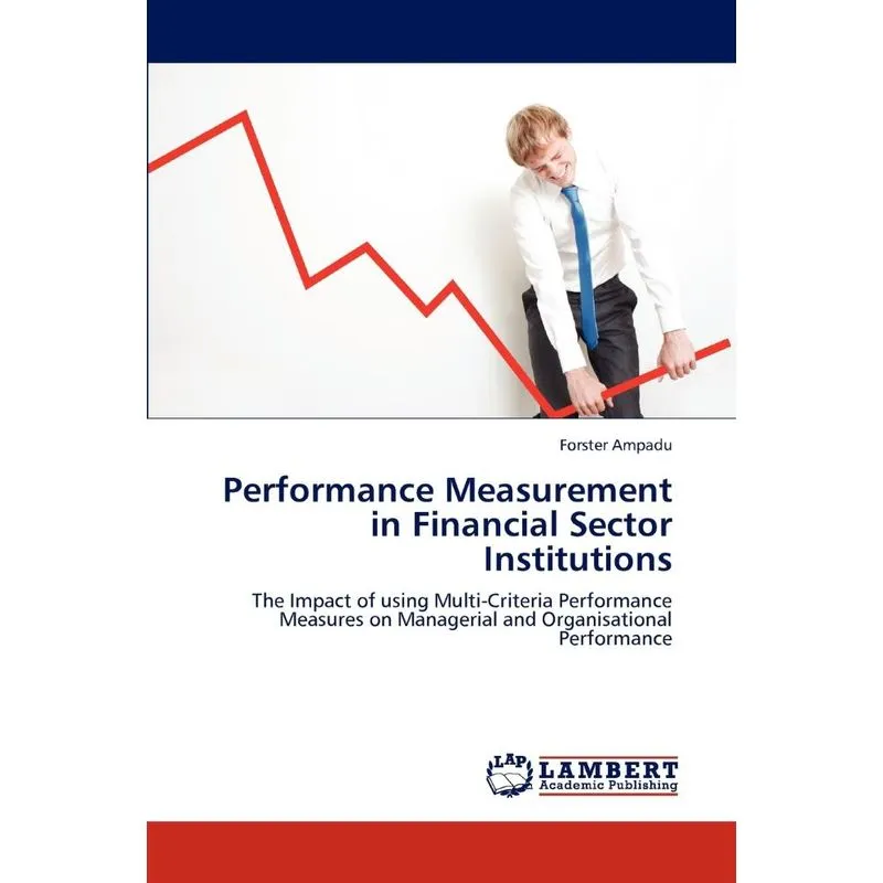 Performance Measurement in Financial Sector Institutions