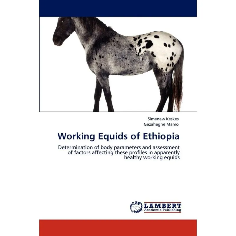 Working Equids of Ethiopia