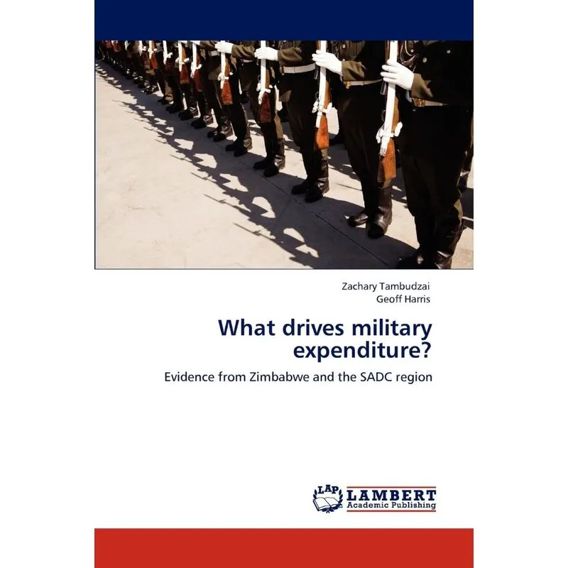 What drives military expenditure?