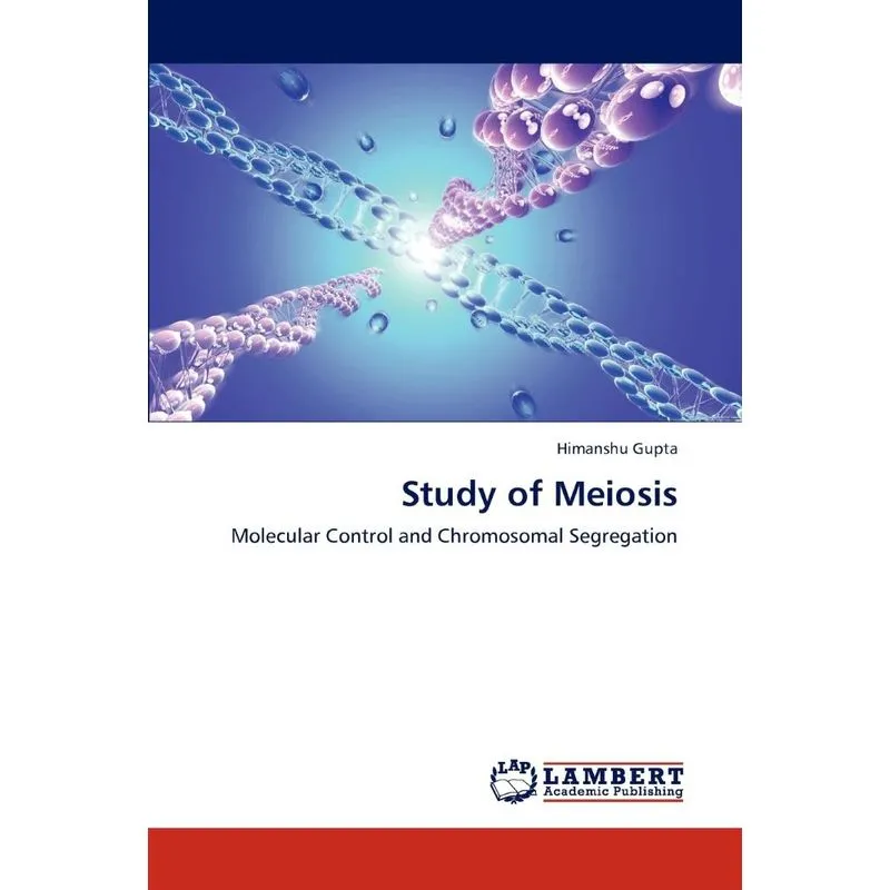 Study of Meiosis