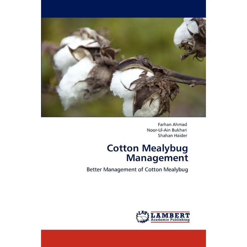 Cotton Mealybug Management
