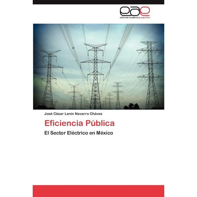 Eficiencia Pública