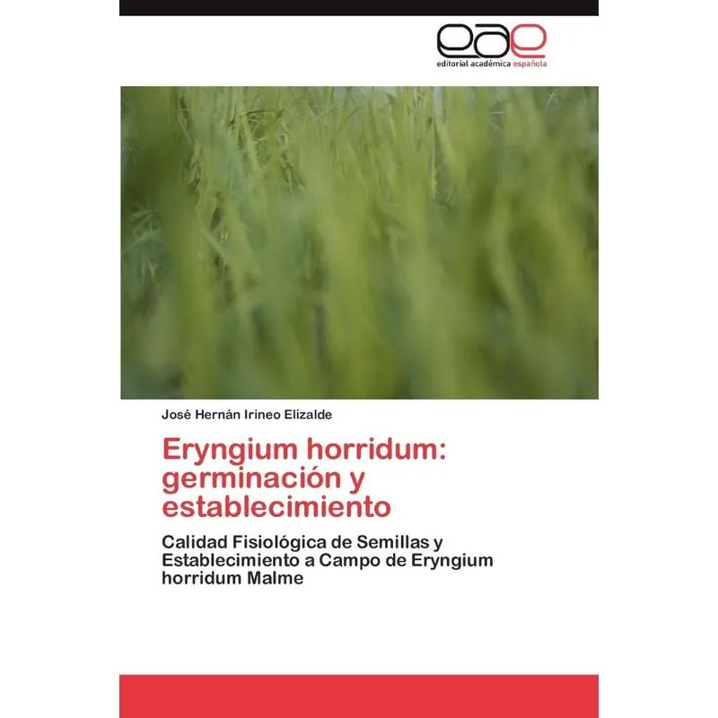 Eryngium horridum