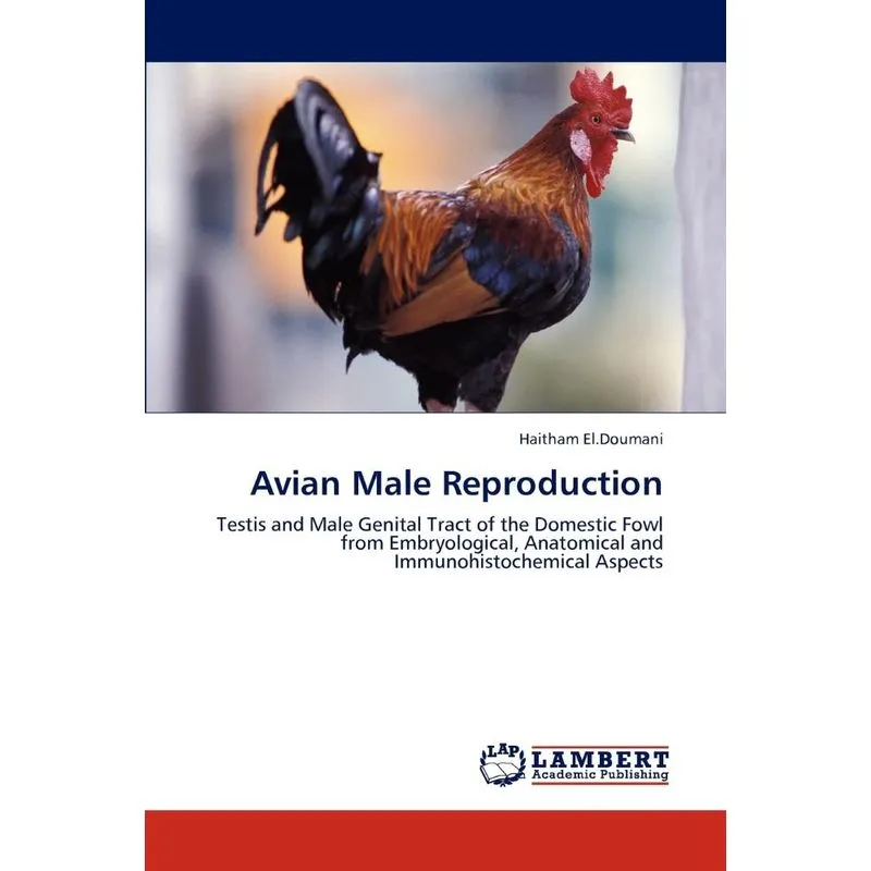 Avian Male Reproduction