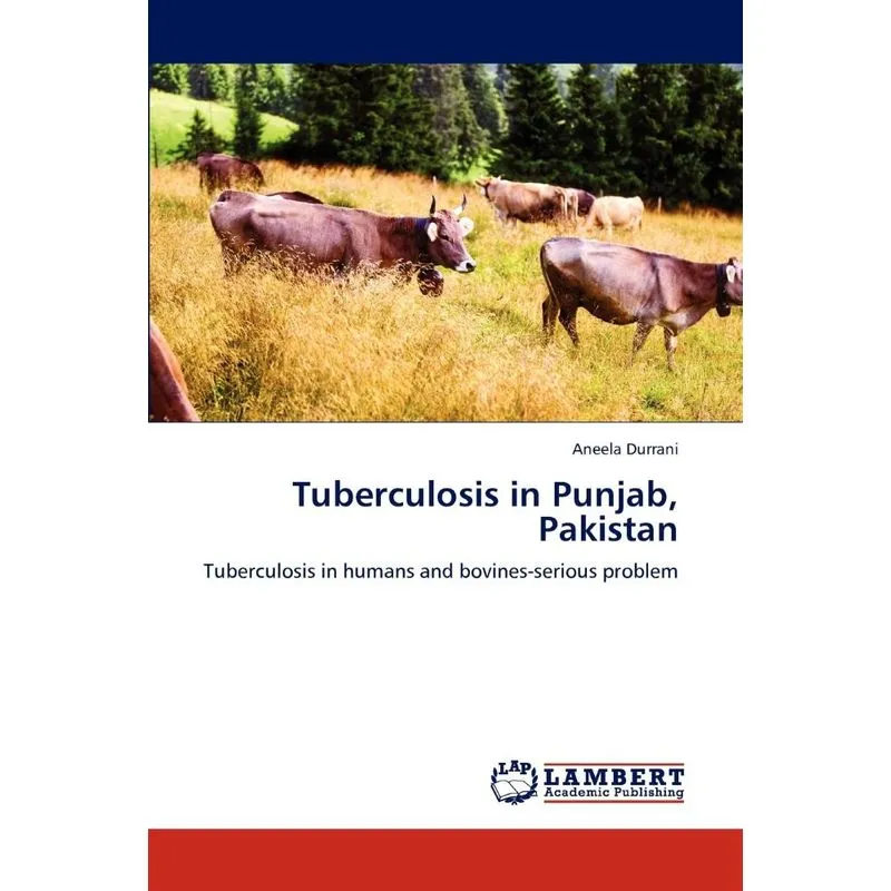 Tuberculosis in Punjab, Pakistan