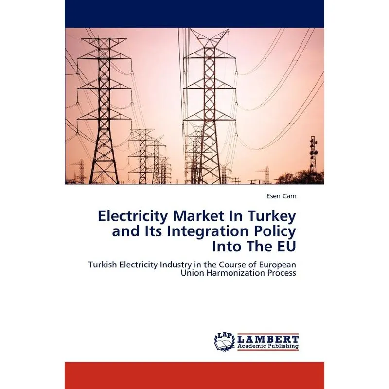 Electricity Market in Turkey and Its Integration Policy Int