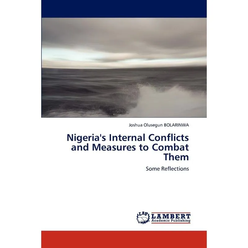 Nigerias Internal Conflicts and Measures to Combat Them