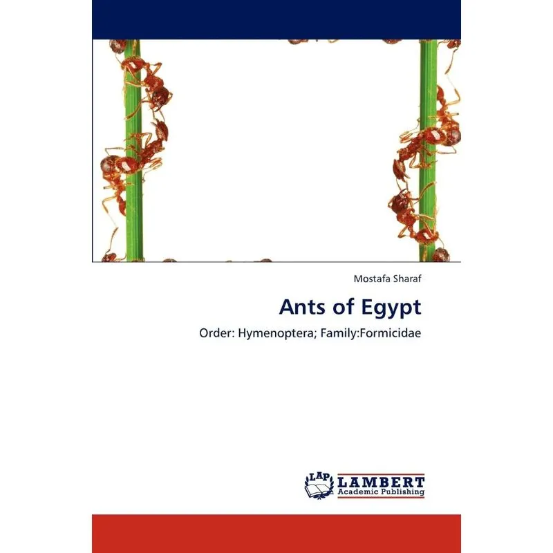 Ants of Egypt