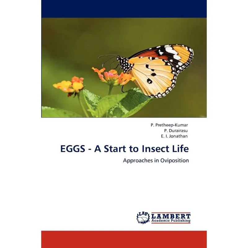 Eggs - A Start to Insect Life