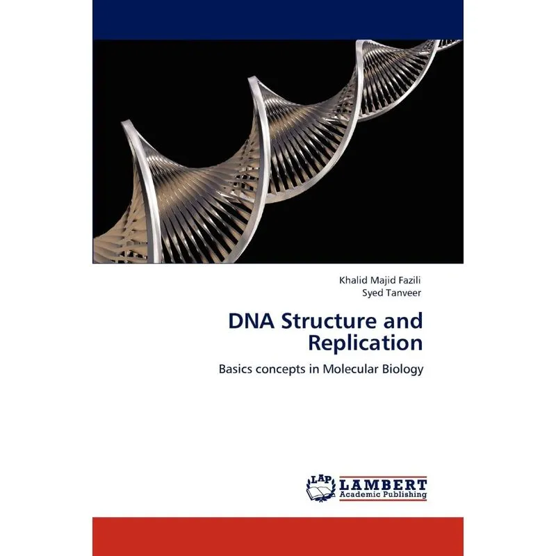 DNA Structure and Replication