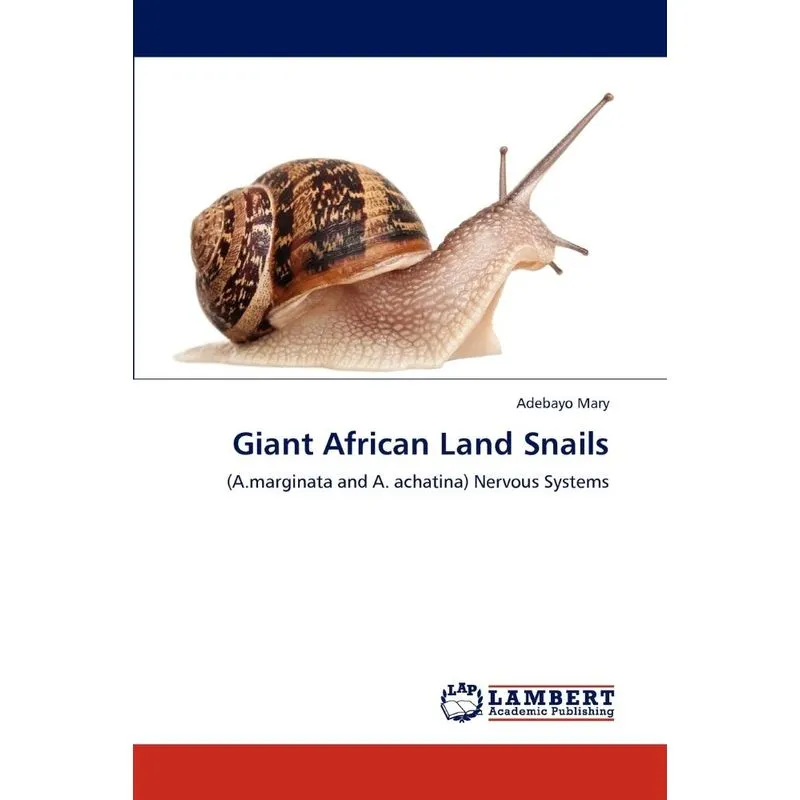 Giant African Land Snails