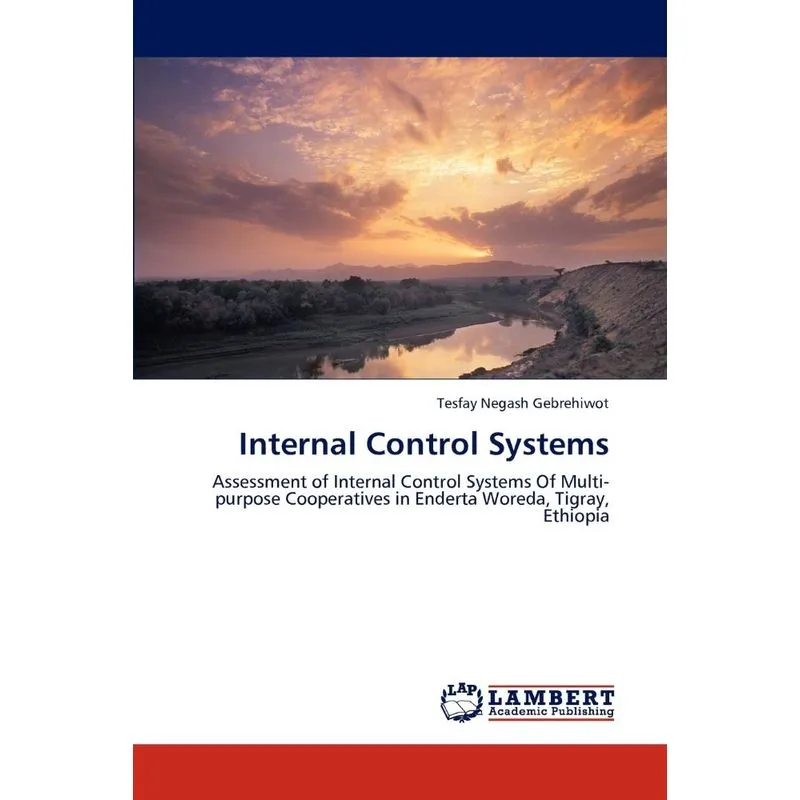 Internal Control Systems