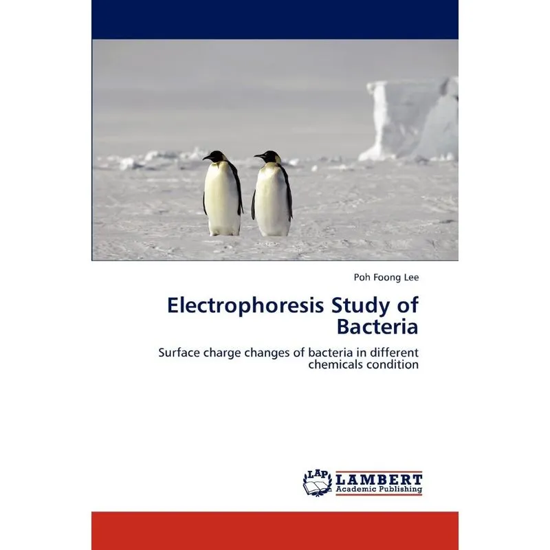 Electrophoresis Study of Bacteria