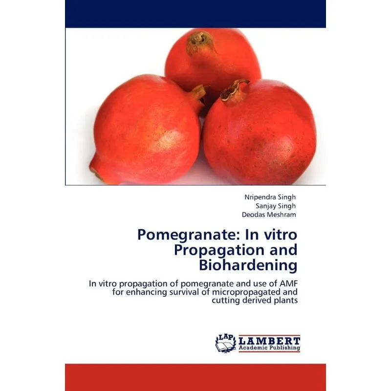 Pomegranate