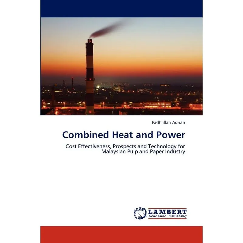 Combined Heat and Power