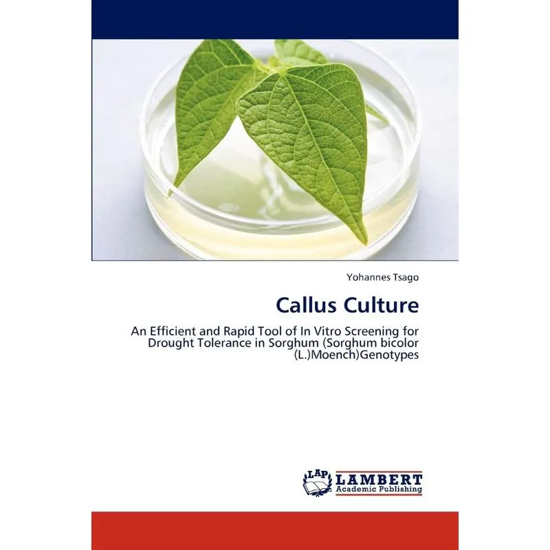 Callus Culture