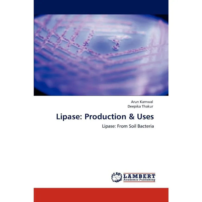 Lipase