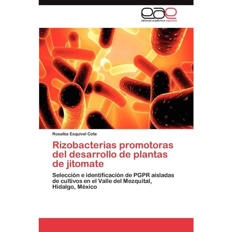 Rizobacterias promotoras del desarrollo de plantas de jitom