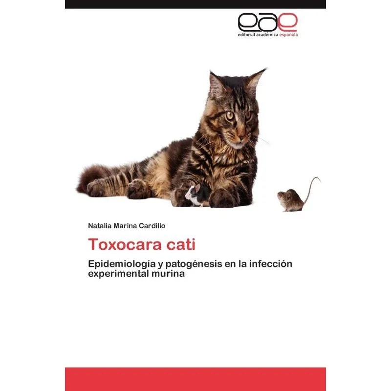 Toxocara Cati