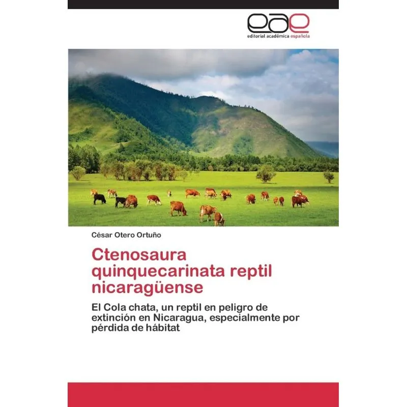 Ctenosaura quinquecarinata reptil nicaragüense