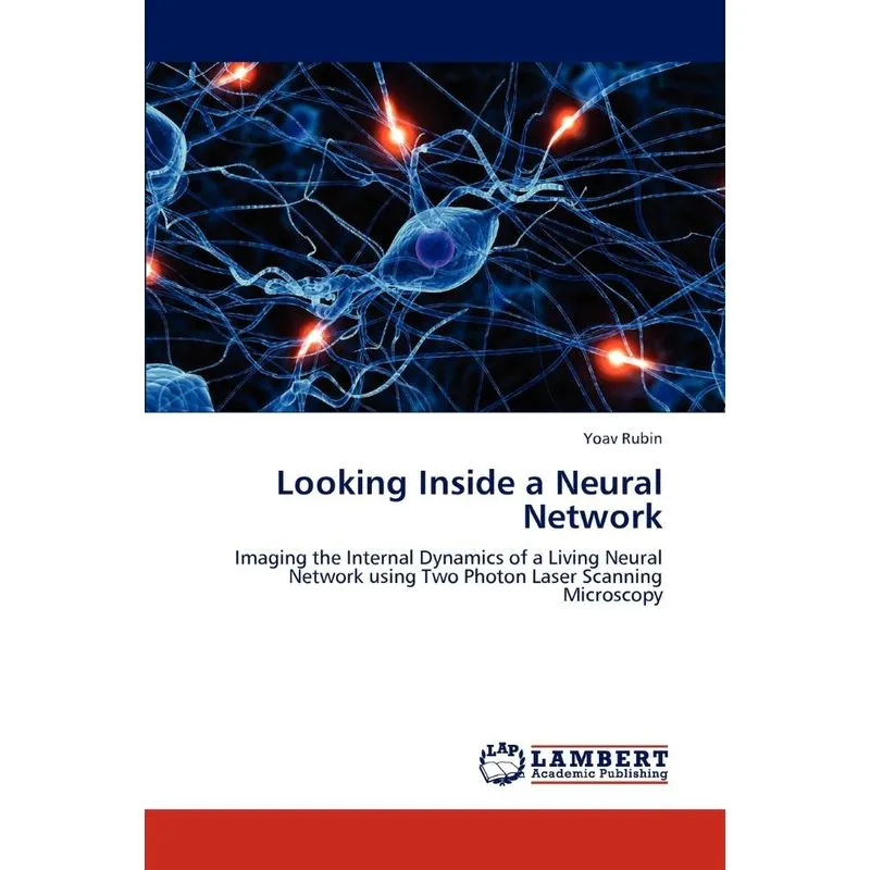 Looking Inside a Neural Network