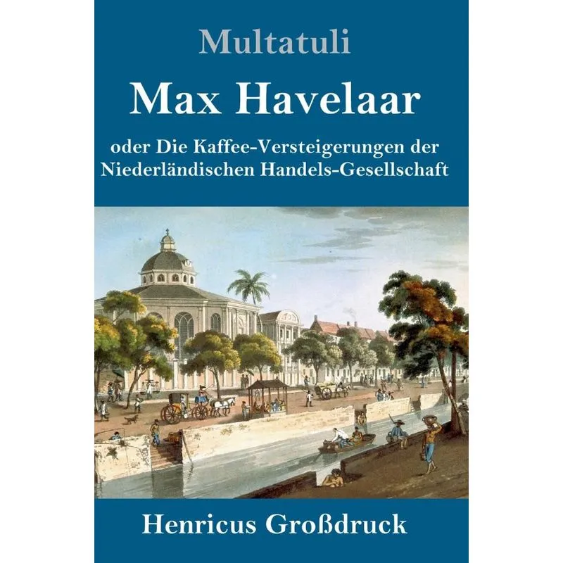 Max Havelaar (Großdruck)