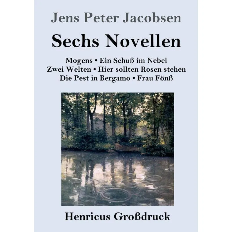 Sechs Novellen (Großdruck)
