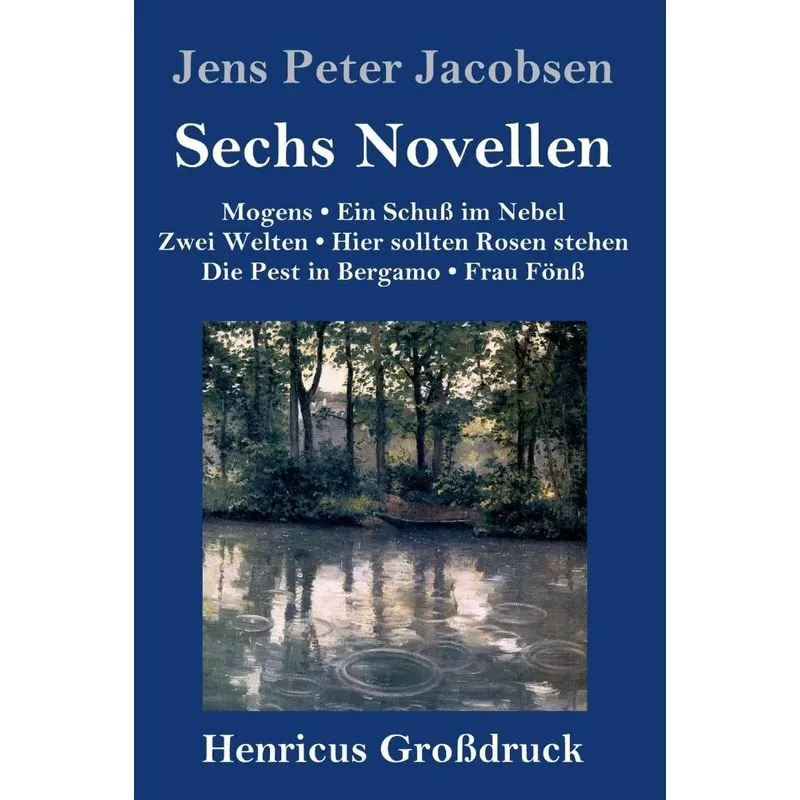 Sechs Novellen (Großdruck)