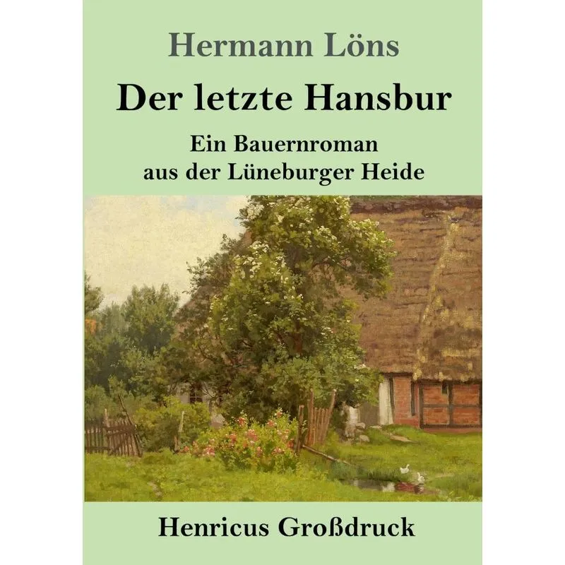 Der letzte Hansbur (Großdruck)
