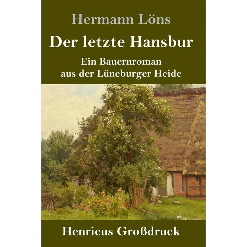 Der letzte Hansbur (Großdruck)