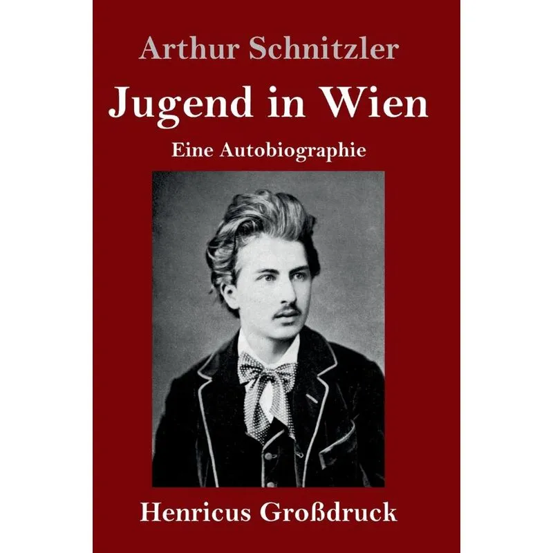 Jugend in Wien (Großdruck)